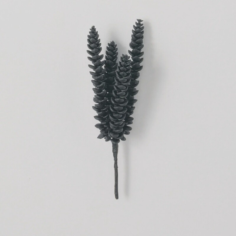 Succulent Pick