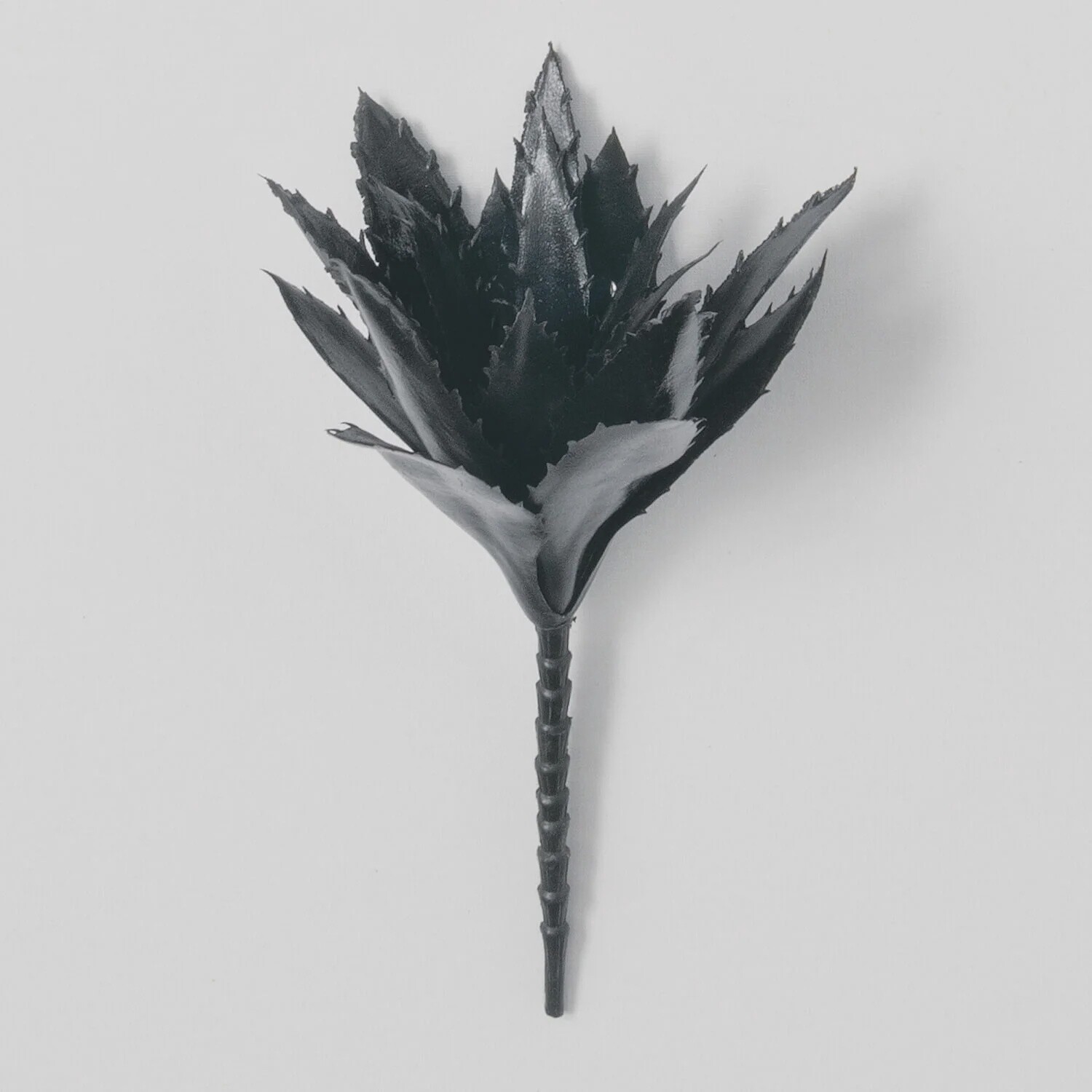 Succulent Pick Black