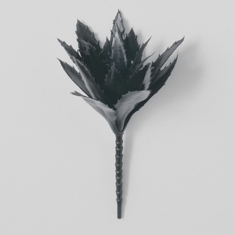Succulent Pick Black