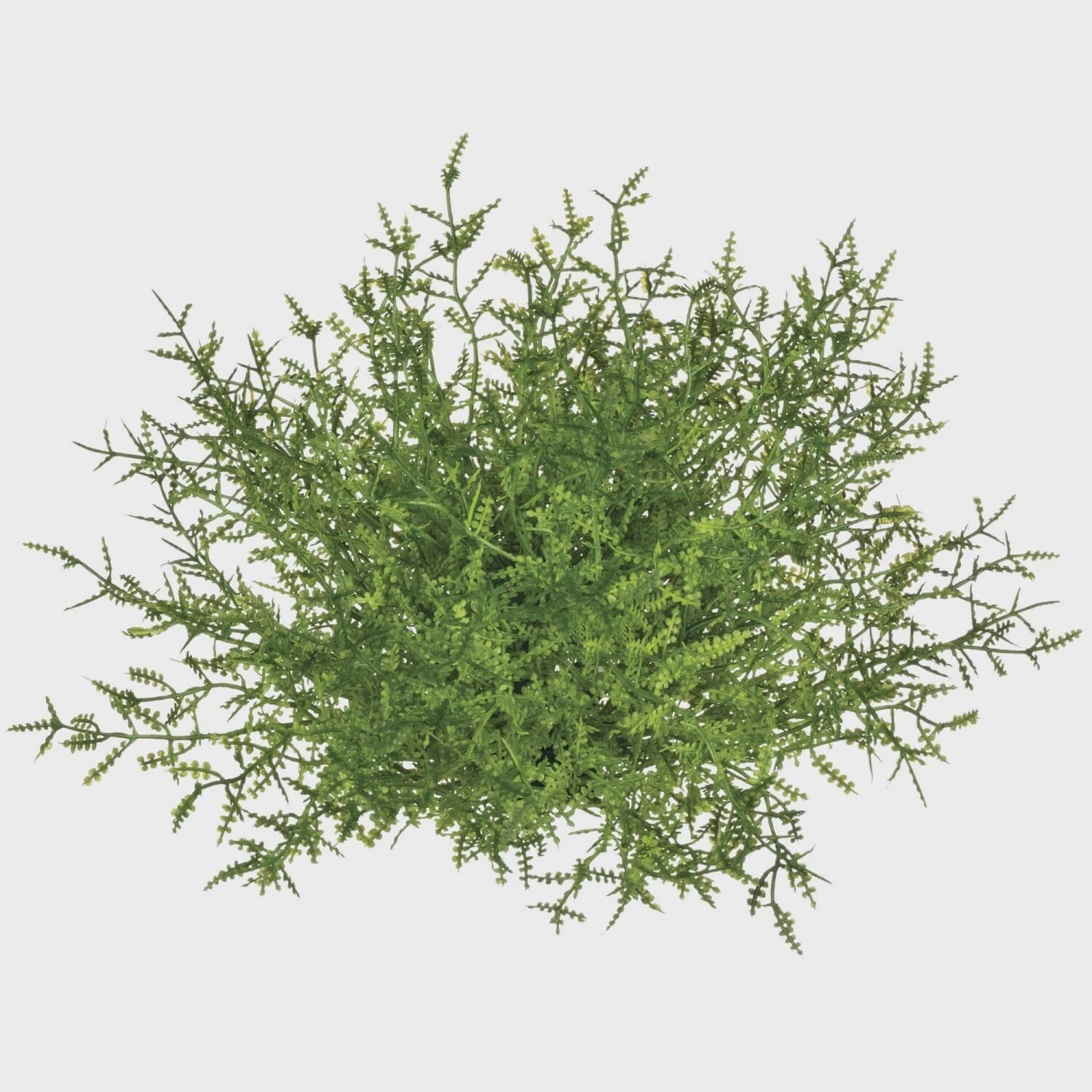 Coral Fern 1/2 Orb