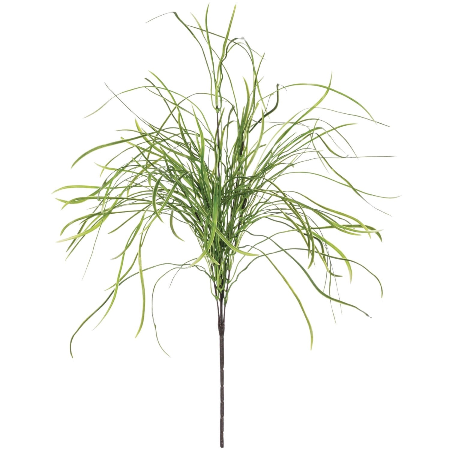 Pearl Grass Spray