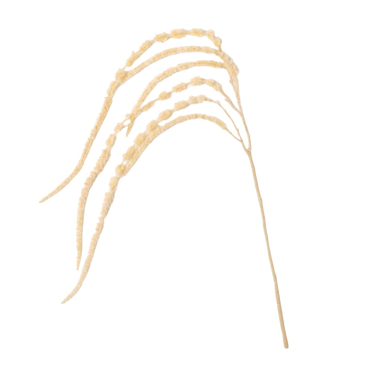 Amaranthus Spray, Color: Cream