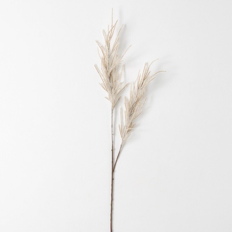 Dried Pampas Grass Bundle