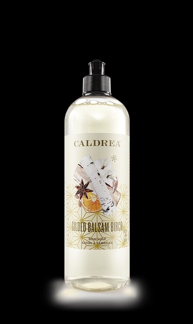 Caldrea Dish Soap, Scent: Gilded Balsam Birch