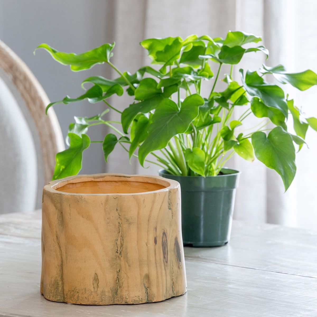 Faux Garden Forest Pot 6&quot;