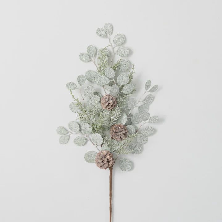 Eucalyptus Cone Spray