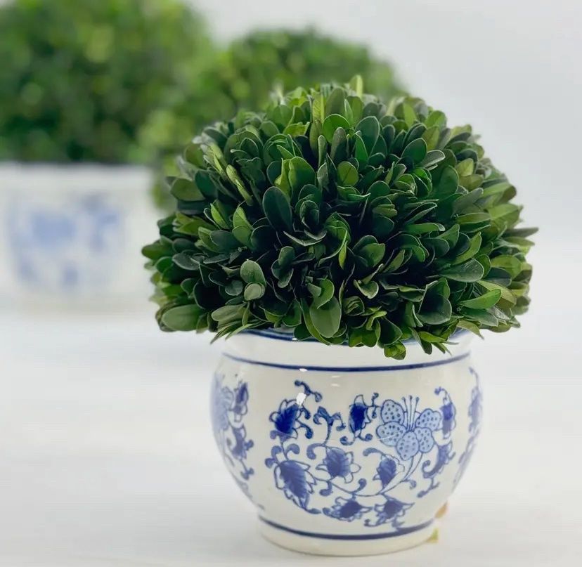 Boxwood Ball Topiary, Size: Small