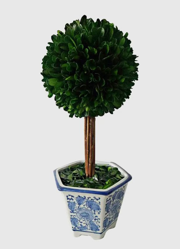 Boxwood Ball Topiary