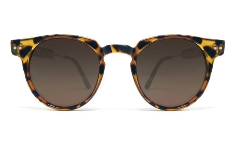 Teddy Boy Tortoise / Brown