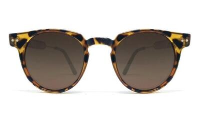 Teddy Boy Tortoise / Brown