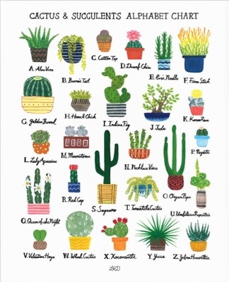 Alphabet Print Cactus &amp; Succulent