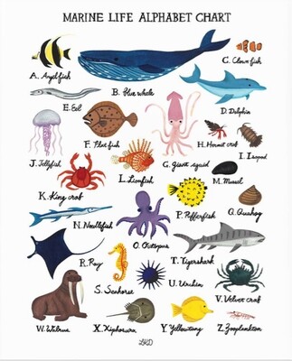 Alphabet Print Marine Life