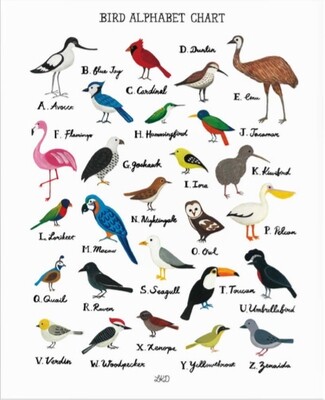 Alphabet Print Birds