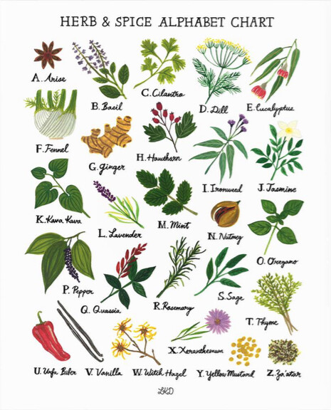 Alphabet Print Herbs &amp; Spices