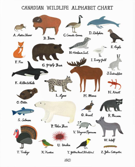 Alphabet Print Canadian Wildlife