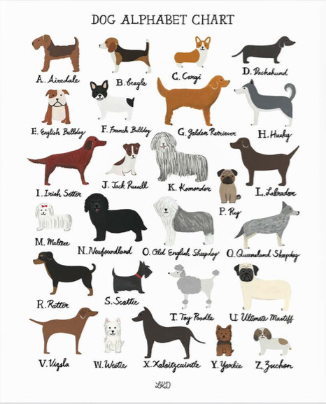 Alphabet Print Dogs