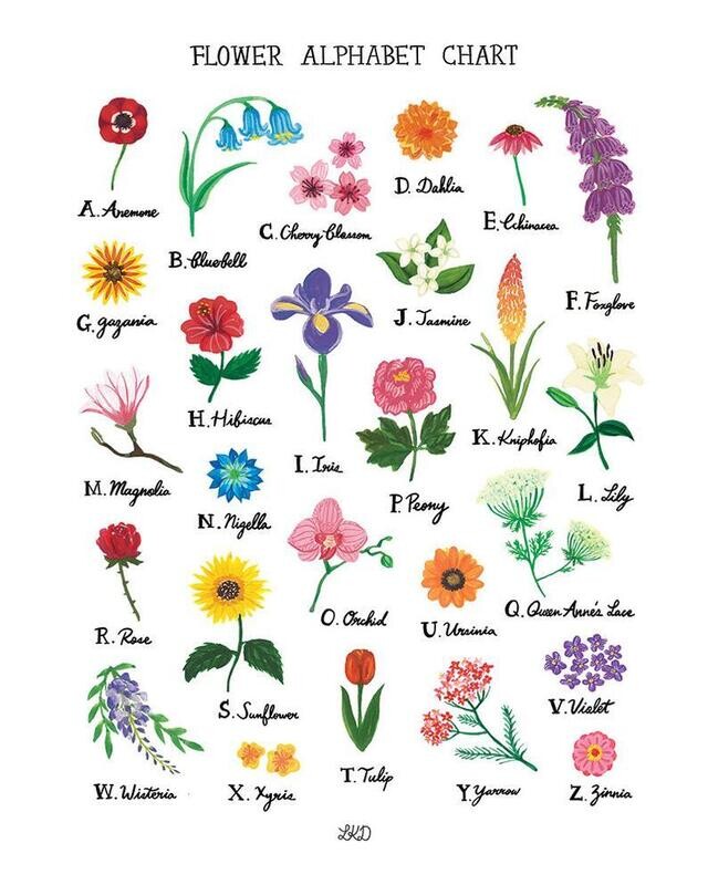Alphabet Print Flowers