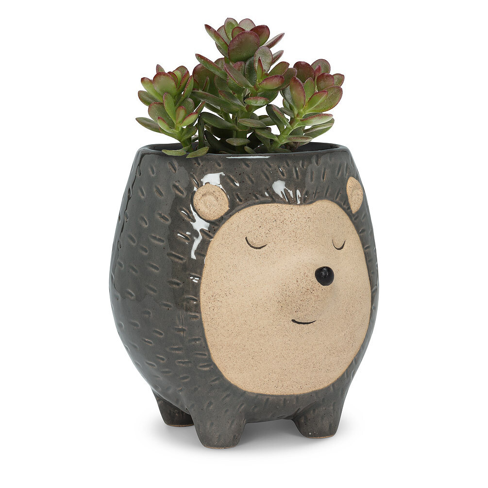 Planter Hedgehog Tall