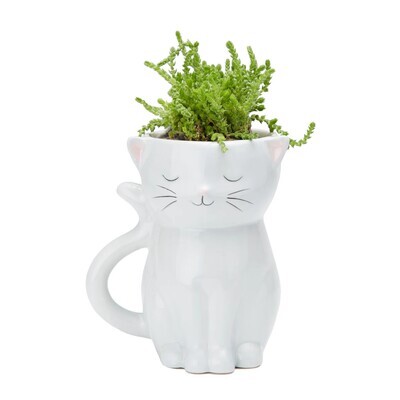 Planter Sweetie Cat