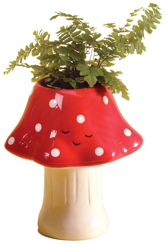 Planter Kawaii Mushroom Tall