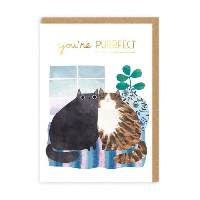 Anniversary Cats