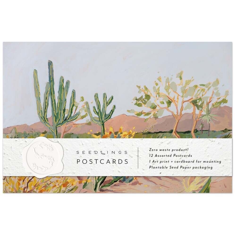 Postcard Set Cactus