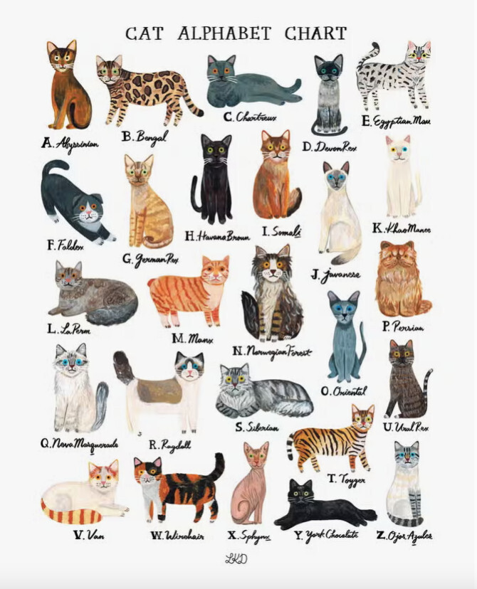 Alphabet Print Cats