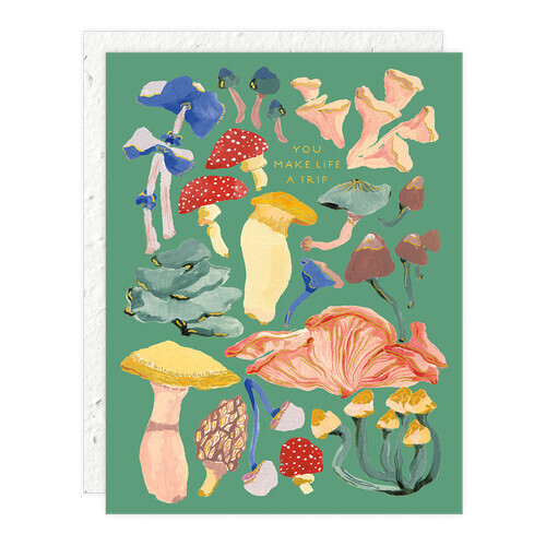 Shrooms