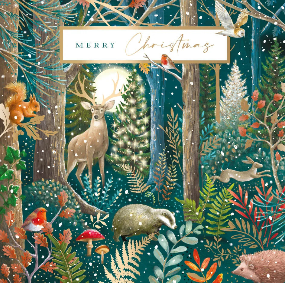 Winter Wonderland Set of 10