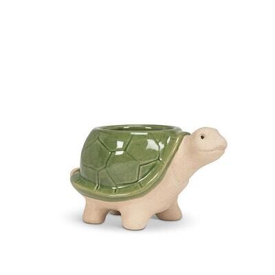 Planter Turtle Small