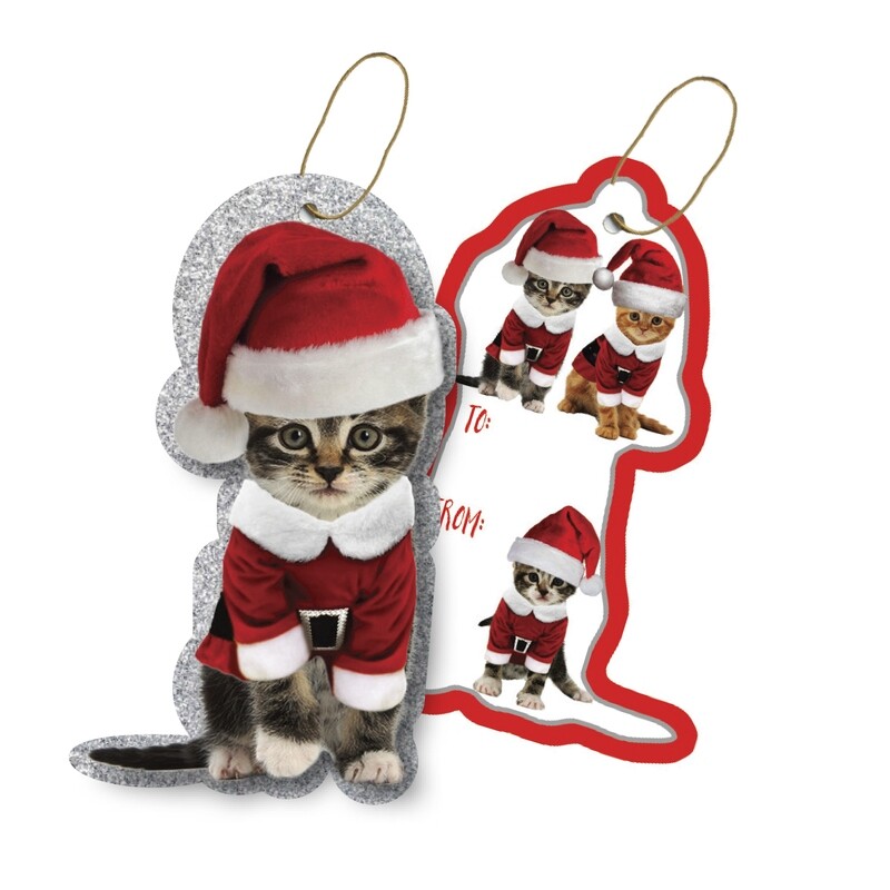 Gift Tags With Tie String 4pcs Kitty