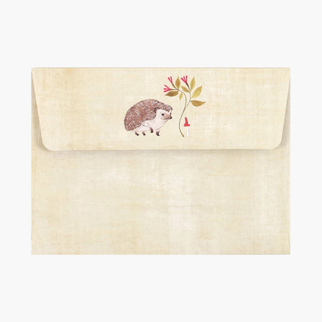 Note Cards Hedgehog