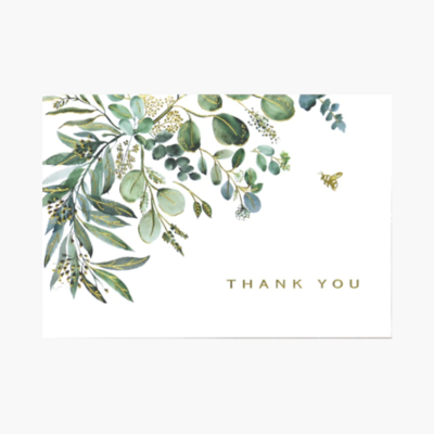 Note Cards Eucalyptus