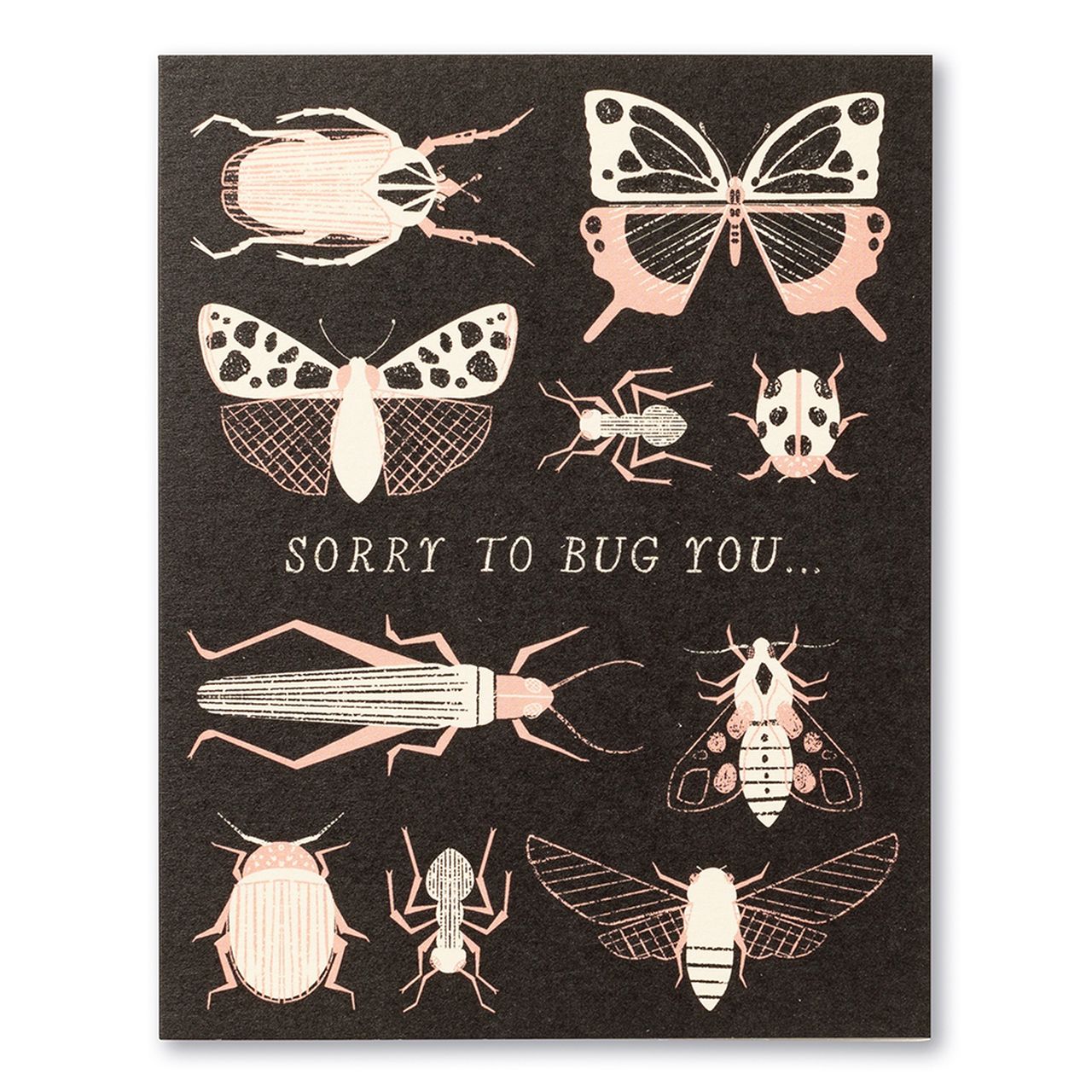 Sorry To Bug You