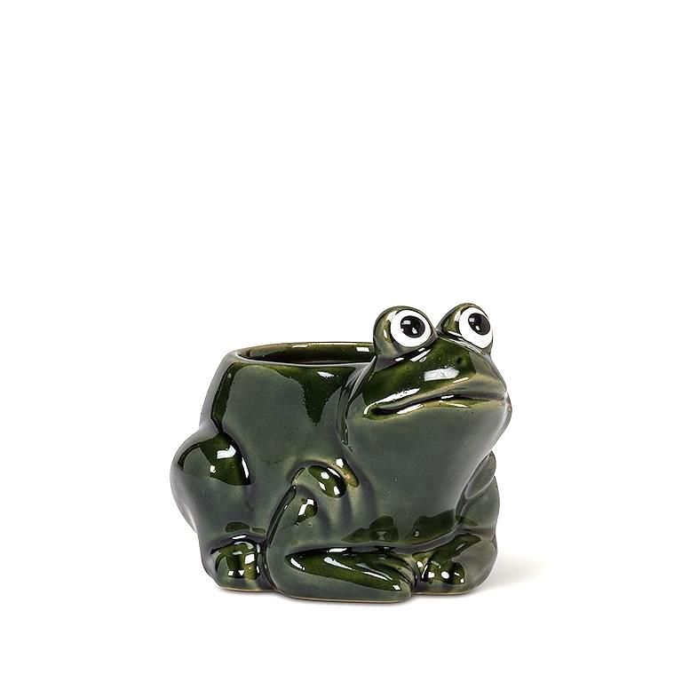 Planter Crouched Frog Small