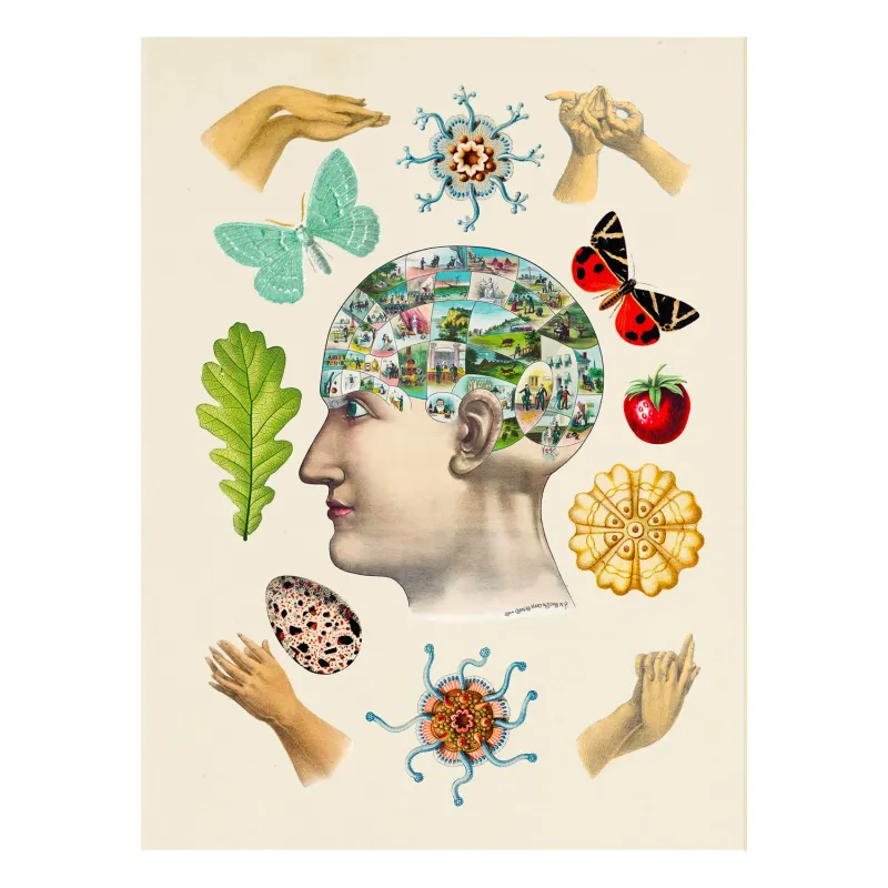 Antiquarian Sticker Book