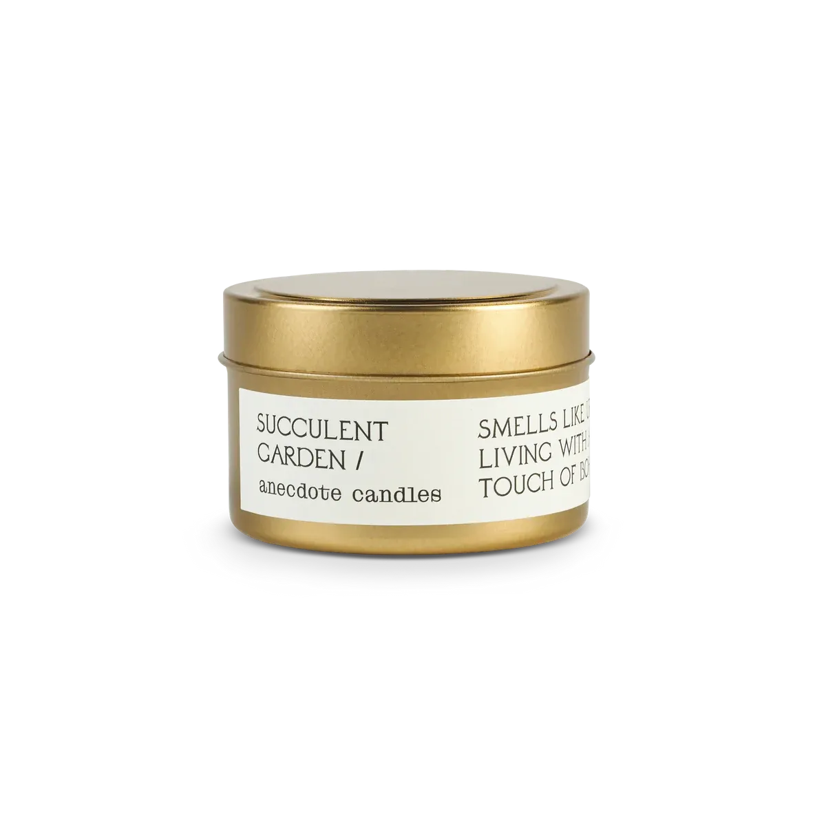 Travel Tin Candle Succulent Garden