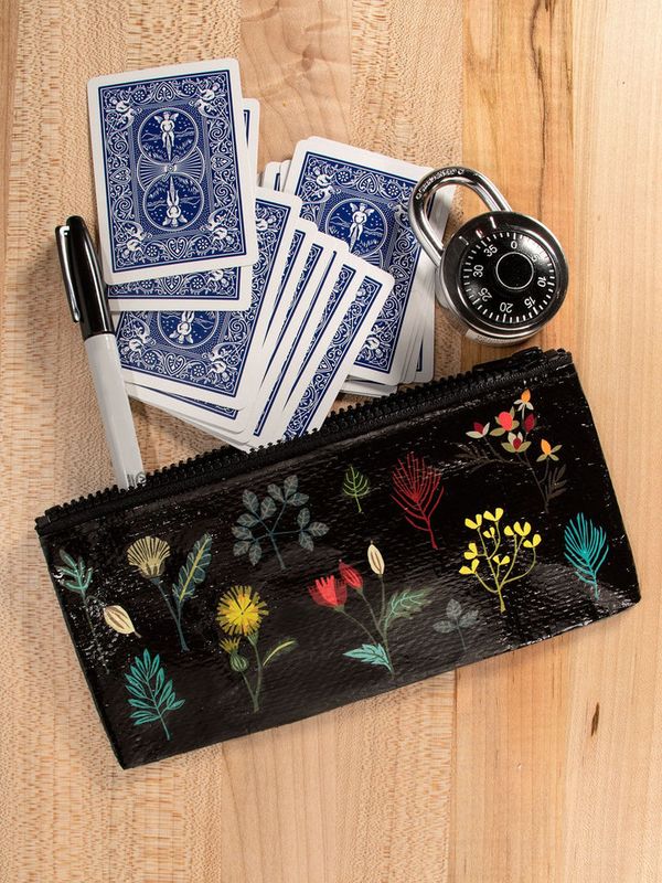 Pencil Case Plant Study