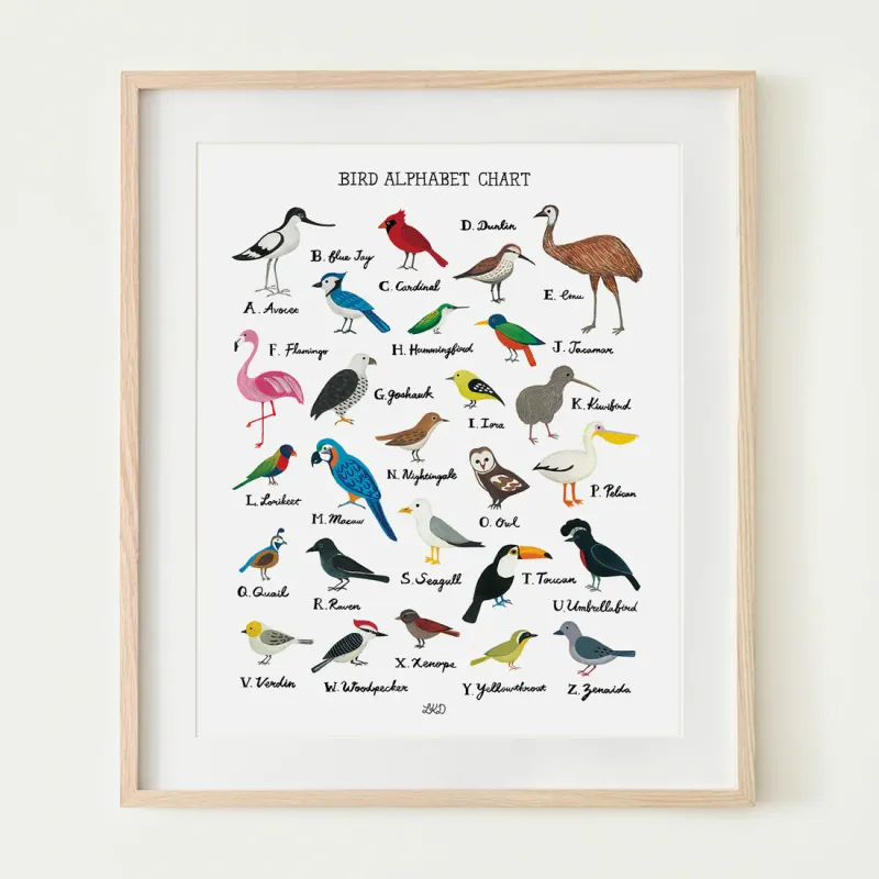 Alphabet Print Birds