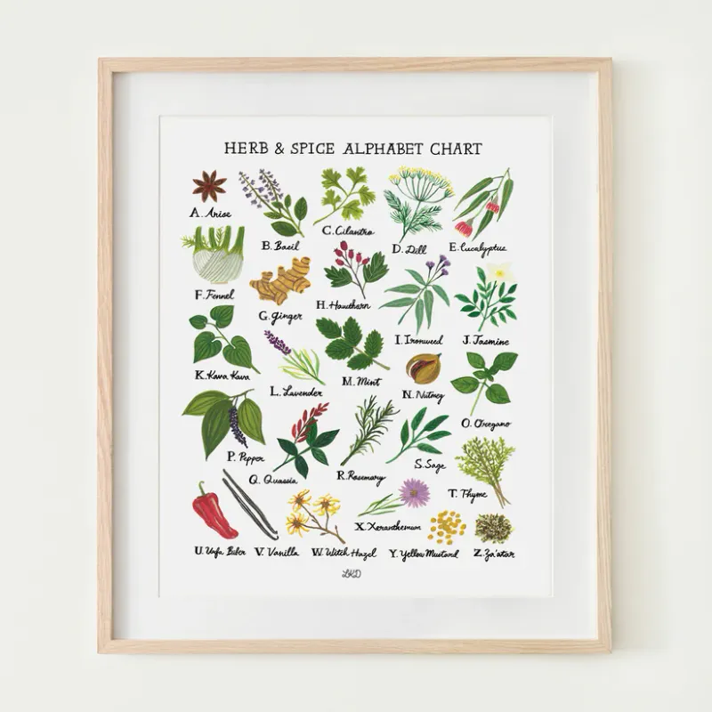 Alphabet Print Herbs &amp; Spices