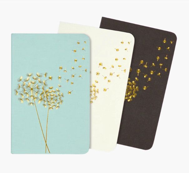 Jotter Mini Notebook Set of 3  Dandelion Wishes