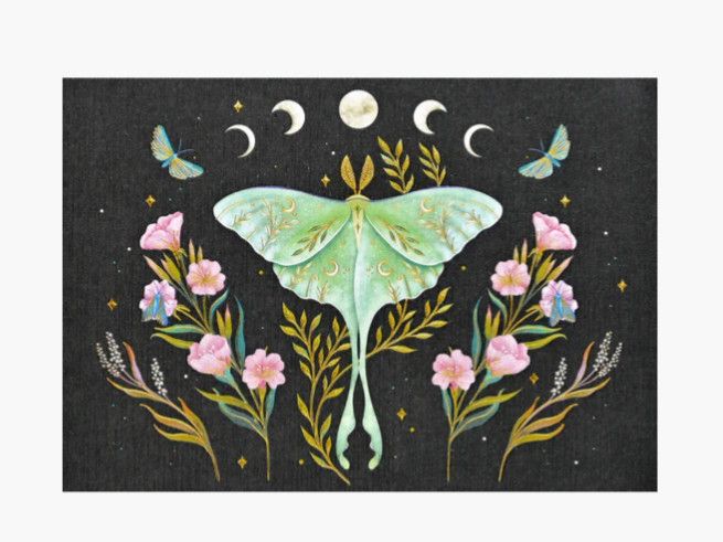 Note Cards Luna Moth