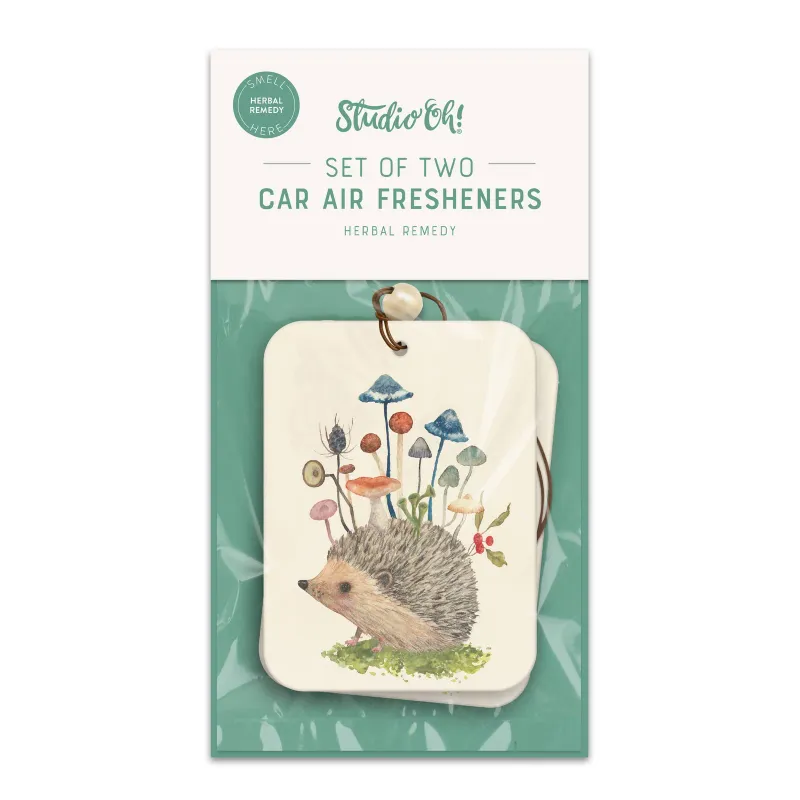 Car Air Freshener Pack of 2 Hedgehog with Mushroom