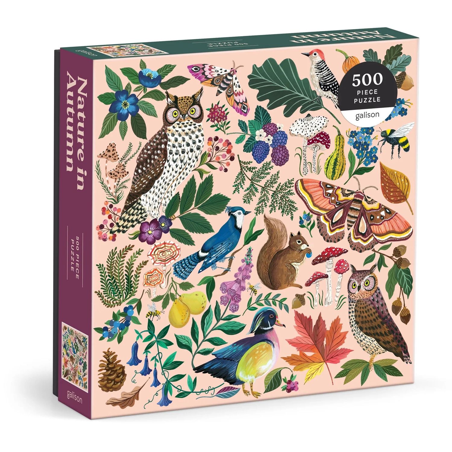 500 Piece Puzzle Nature In Autumn