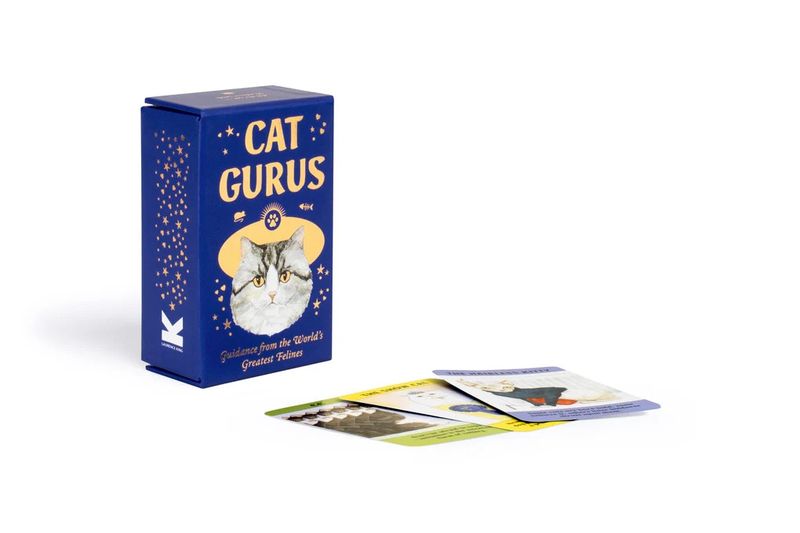 Cat Gurus Mini: Advice Card Set