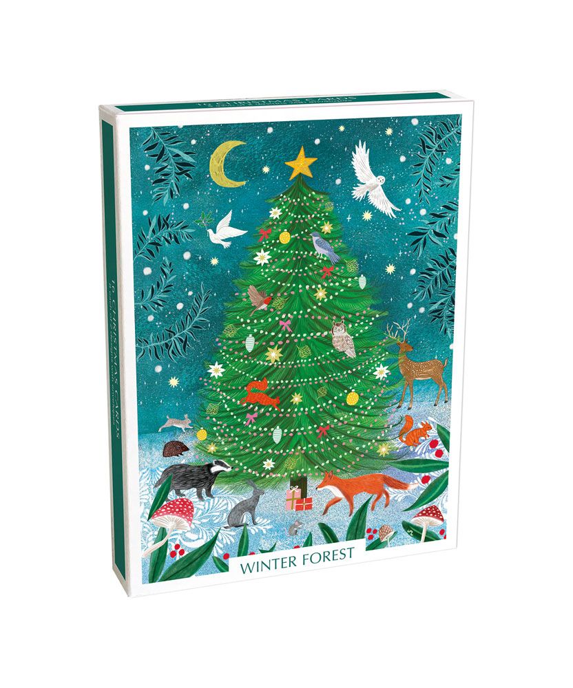 Boxed Christmas Cards Winter Forest
