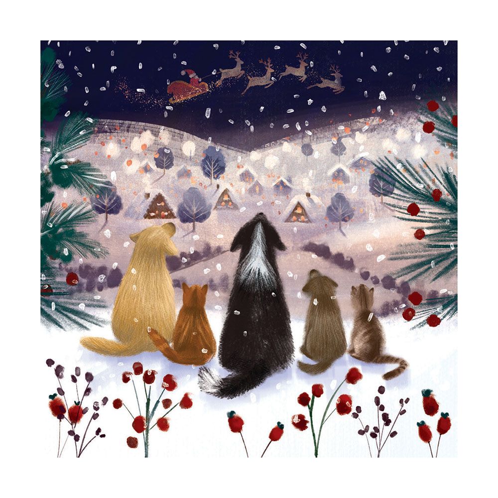 Boxed Christmas Cards A Winter&#39;s Tail