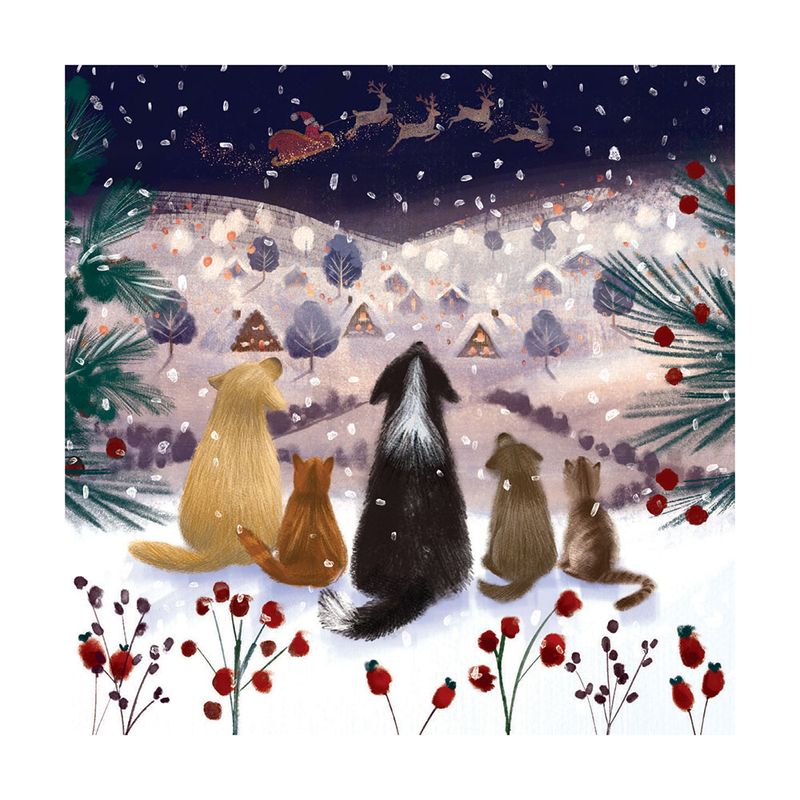 Boxed Christmas Cards A Winter&#39;s Tail