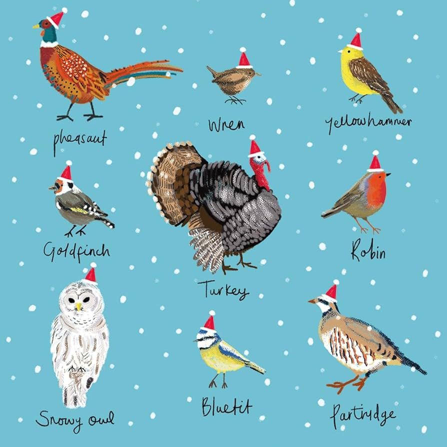 Boxed Christmas Cards Festive Birds