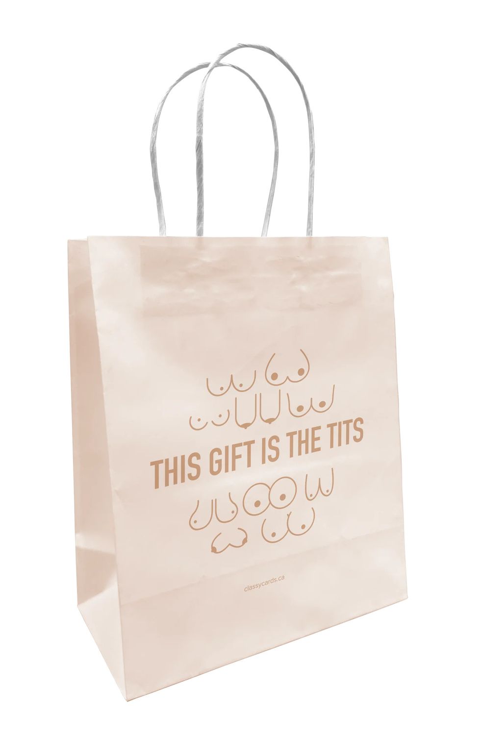 This Gift Is The Tits Paper Gift Bag
